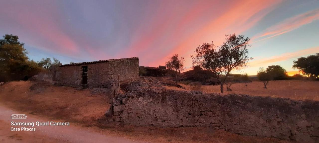 Casa Pitacas * Crato